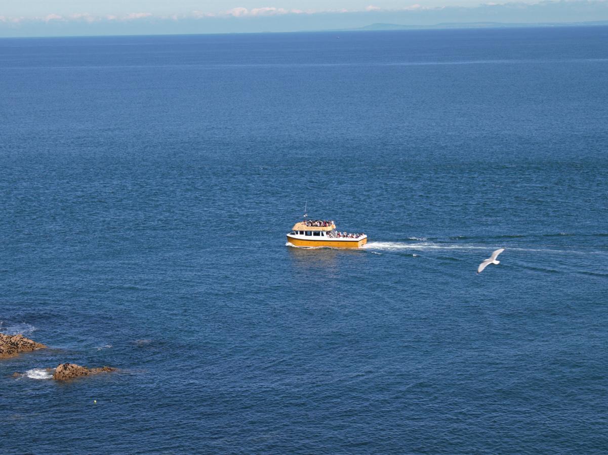 Вилла Ocean Breeze Ильфракомб Экстерьер фото